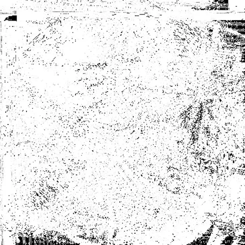 SN.belt.webp