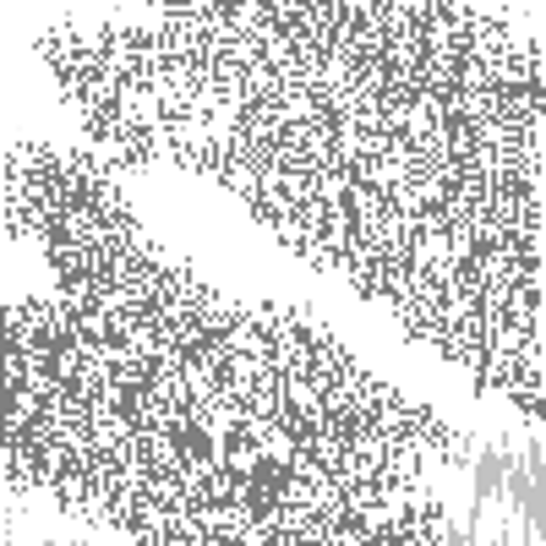 SN.brother.png