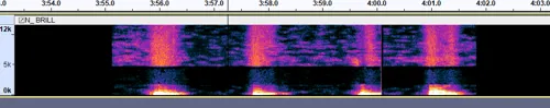 unknown_voice_spectogram.webp